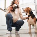 愛犬が『短気』にな…