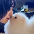 天使の「鼻ちゅん♡」…