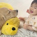 やんちゃな0歳の赤ち…