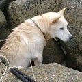 【奇跡】3年間、20㎞…