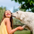 【大型犬】白い大き…