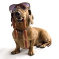 犬も人をだます時が…