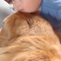 赤ちゃんに向かって…