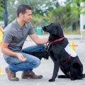 犬とのコミュニケー…