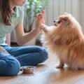 愛犬と会話ができる…