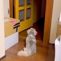 お父さんが2日間留守…