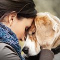 犬が飼い主を『慰め…