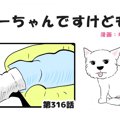 ちーちゃんですけど…
