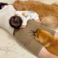 床で転がっていたら…