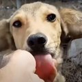 鎖につながれ捨てら…