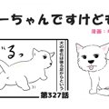 ちーちゃんですけど…