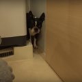 ドライヤーが怖い！…