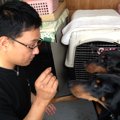 犬との主従関係は必…