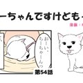 ちーちゃんですけど…