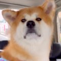 『家族とのお別れ』…