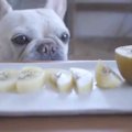 食べたかったよ～！…
