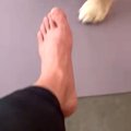職を失った男性が『…