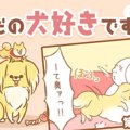 ただの犬好きです。…