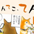 てんてこ、てん。【…