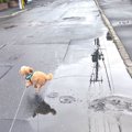 「え？約束？何のこ…