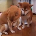 どうしても寄りかか…