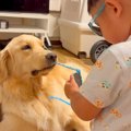男の子のサングラス…