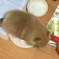 【話題】そこで寝る…