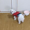 見ててね！見てる？…