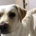 皆さんも真似してみ…