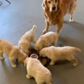 成功か失敗か！？子…