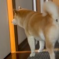 赤ちゃんが泣くと、…