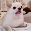 『ホラー番組』を観…