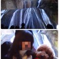 愛犬と日本の名所「…