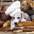 犬はパンを食べても…