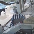 防犯カメラは見た！…