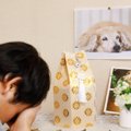 ペットロスの人に絶…