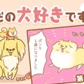 ただの犬好きです。…