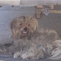 子ども達に食べ物を…