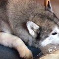 な～んだ。自分のお…