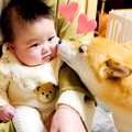 1週間ぶりに赤ちゃん…