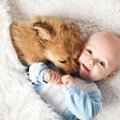 犬は人間の赤ちゃん…