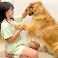 大型犬が調子に乗り…