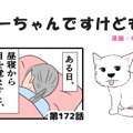 ちーちゃんですけど…