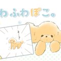 ふわふわぽこ。【第1…