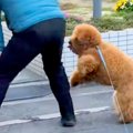 街の人々に愛されて…