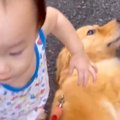 小さな男の子が大型…