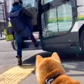 1年に2度しか会えな…
