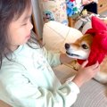 『人に歯を当てたら…