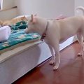 寝起きが悪いお姉ち…