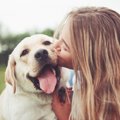 犬を「幸せ」にする…